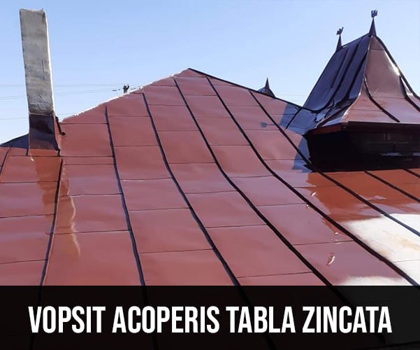 Vopsit acoperișuri