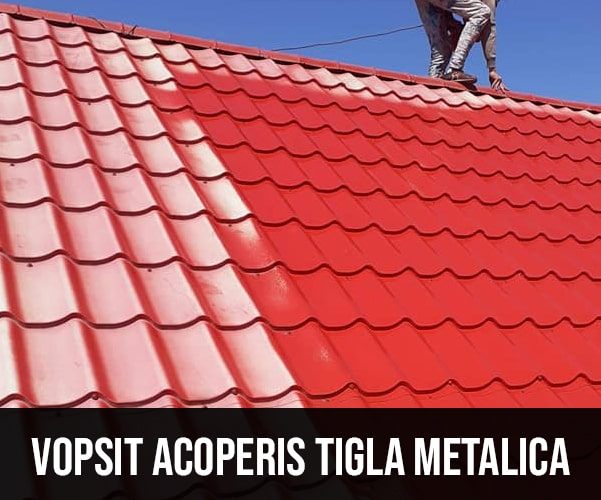 Vopsit acoperișuri