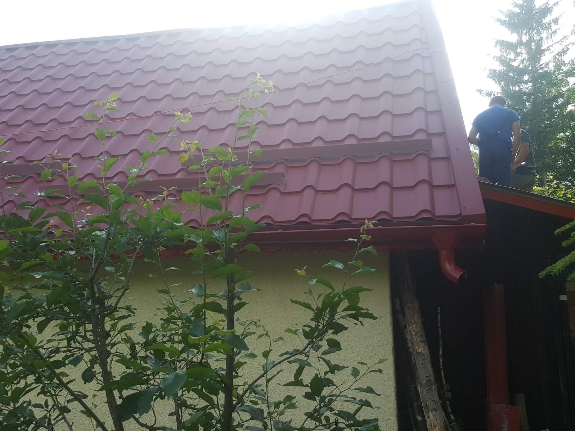Vălenii de Munte