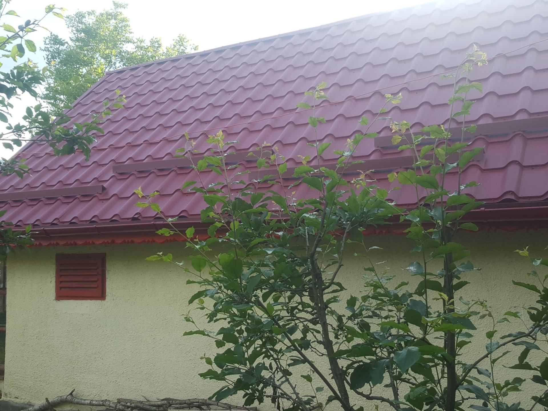 Vălenii de Munte