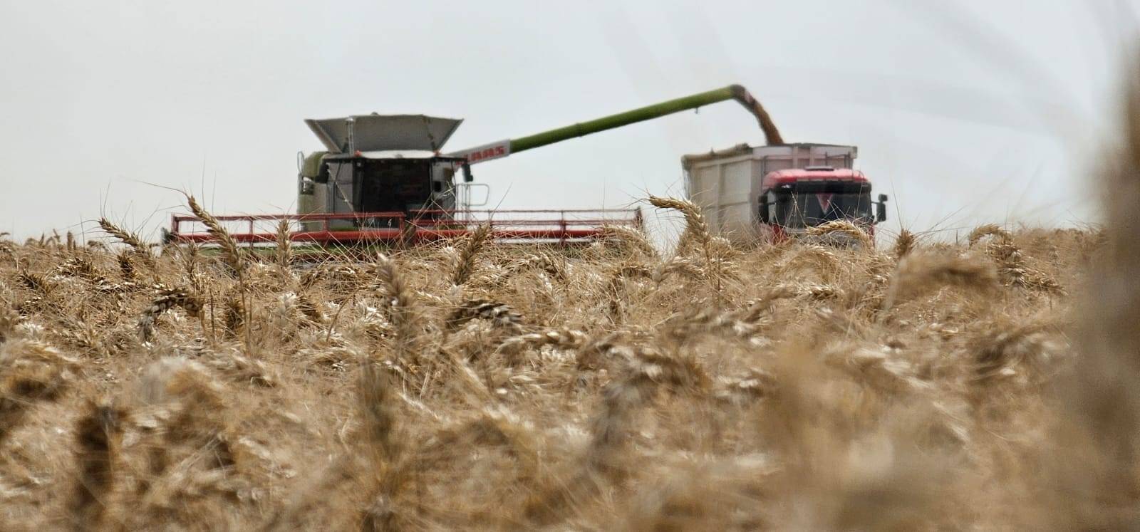 Teren agricol Agroindaf