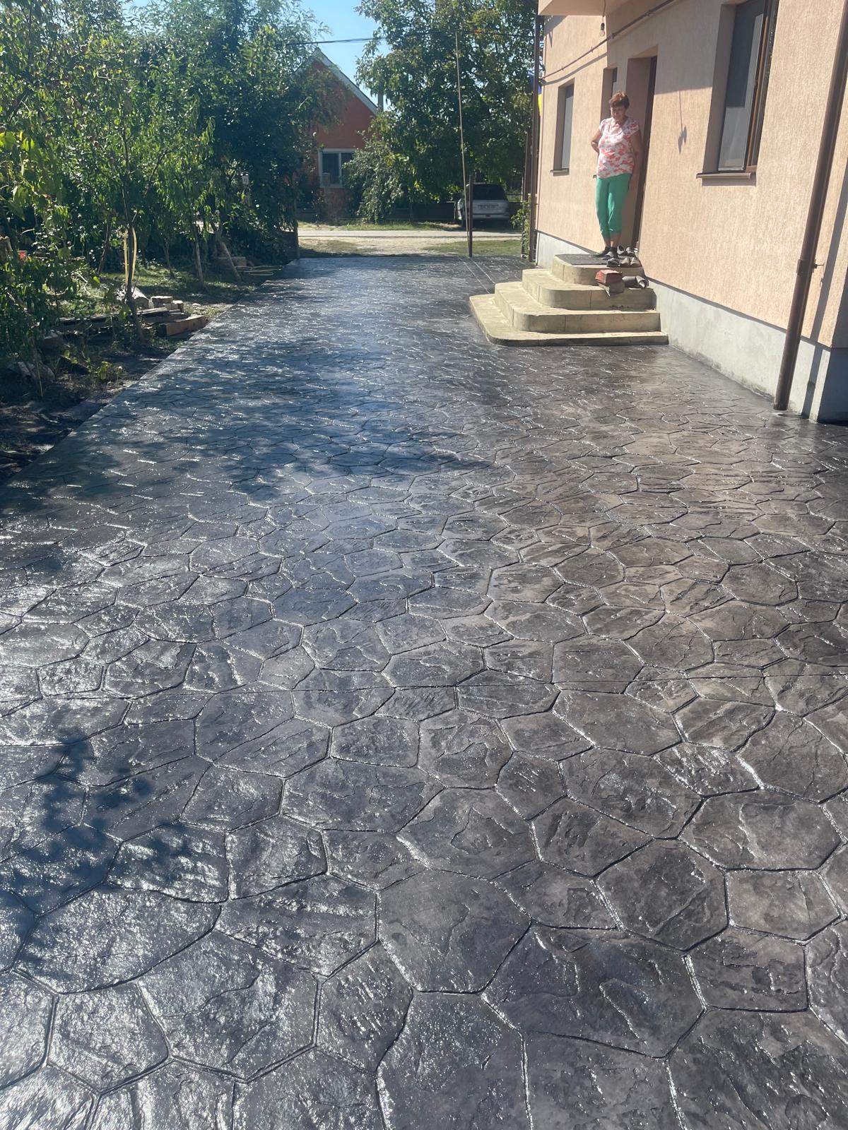 Lucrare in desfasurare